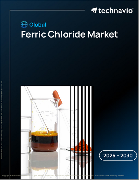 表紙：世界の塩化第二鉄市場2026-2030年