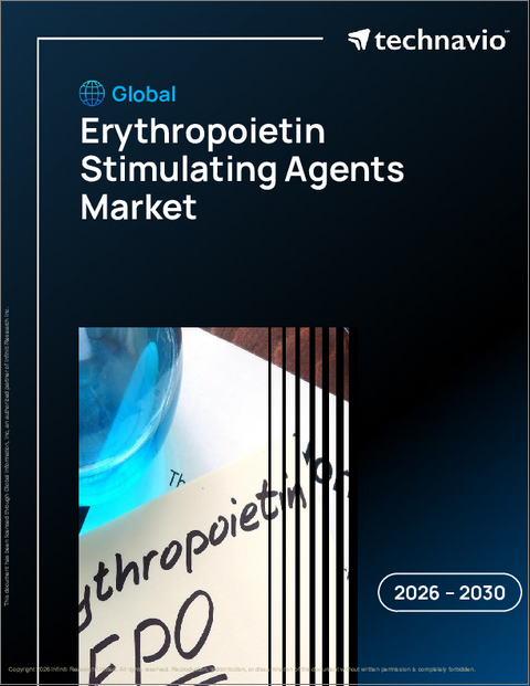 表紙：世界エリスロポエチン刺激剤市場2026-2030年