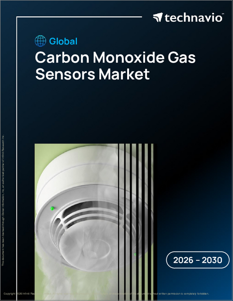 表紙：世界一酸化炭素ガスセンサー市場2026-2030年