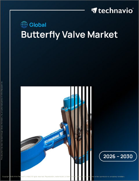 表紙：バタフライバルブの世界市場、2026年～2030年