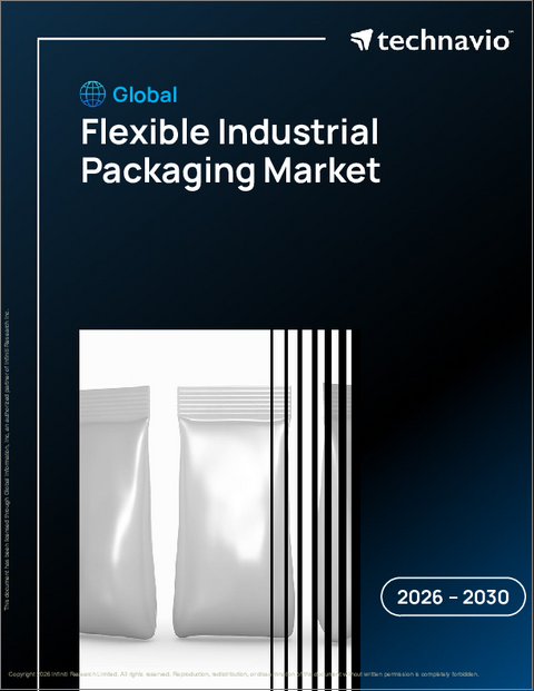 表紙：世界のフレキシブル産業用包装市場2026-2030年