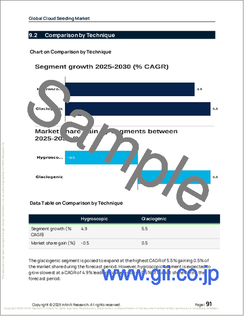 サンプル2：世界の人工降雨市場（2026年～2030年）