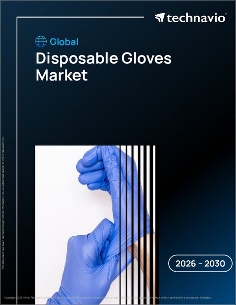 表紙：世界の使い捨て手袋市場2026-2030年