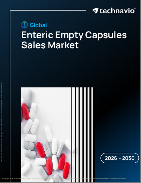 表紙：世界の腸溶性空カプセル販売市場（2026年～2030年）