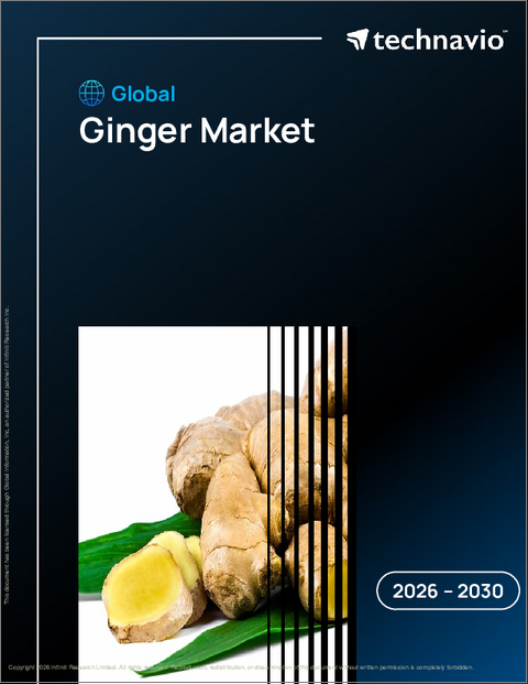 表紙：世界のショウガ市場2026-2030年