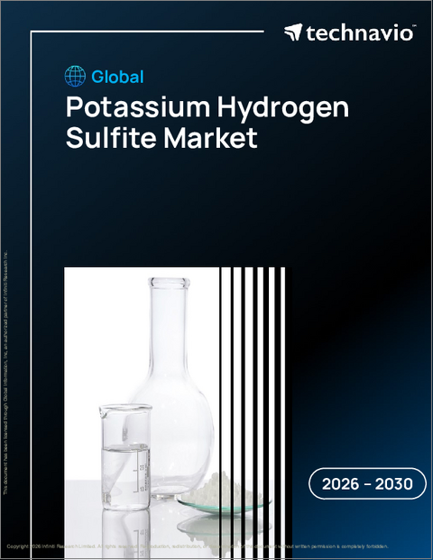 表紙：世界の亜硫酸水素カリウム市場2026-2030年
