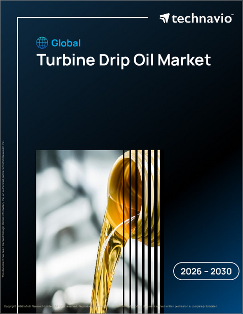 表紙：世界のタービン用ドリップオイル市場2026-2030年