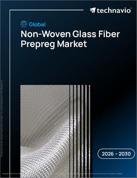 表紙：世界の不織布ガラス繊維プリプレグ市場2026-2030年