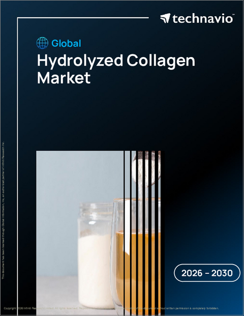 表紙：世界の加水分解コラーゲン市場2026-2030年