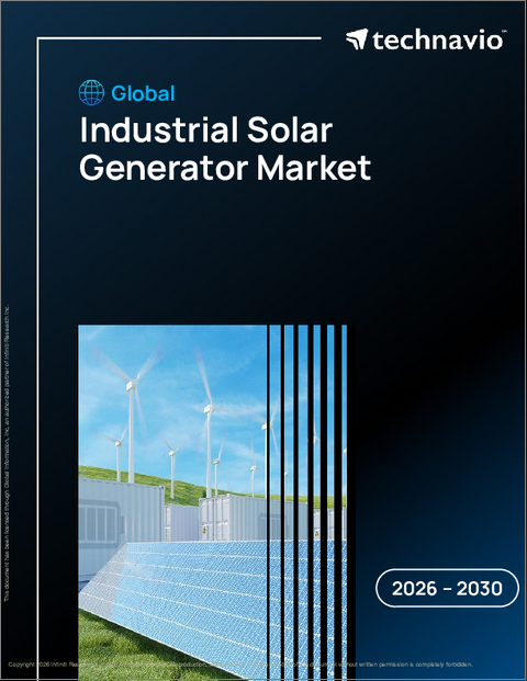 表紙：世界の産業用太陽光発電機市場（2026年～2030年）