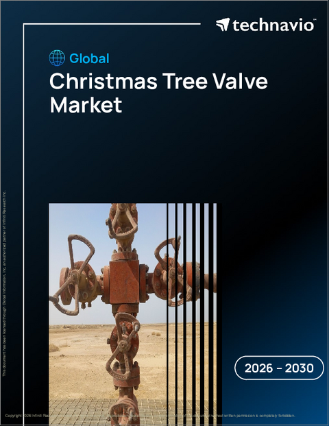 表紙：クリスマスツリーバルブの世界市場、2026年～2030年