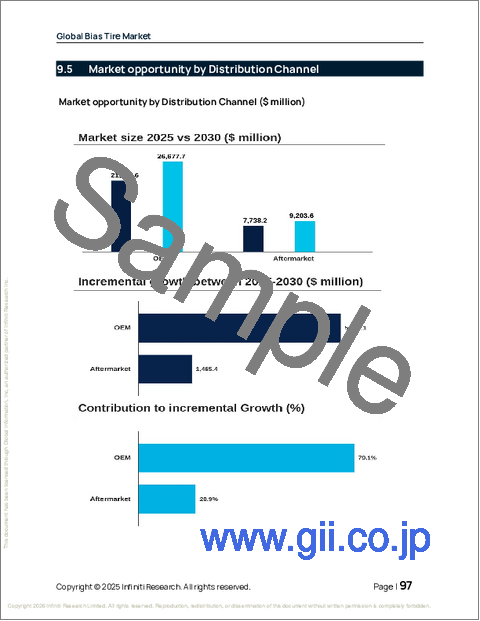 サンプル2：世界のバイアスタイヤ市場2026-2030年