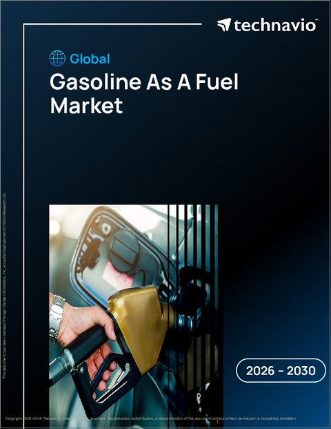 表紙：世界のガソリン燃料市場2026-2030年