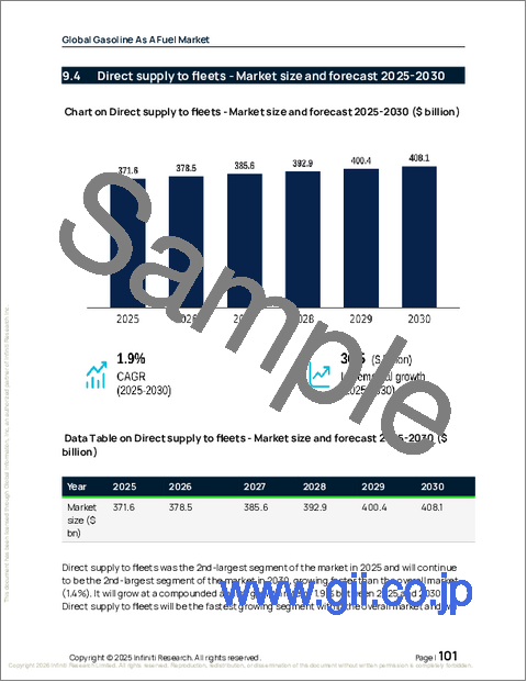 サンプル2：世界のガソリン燃料市場2026-2030年