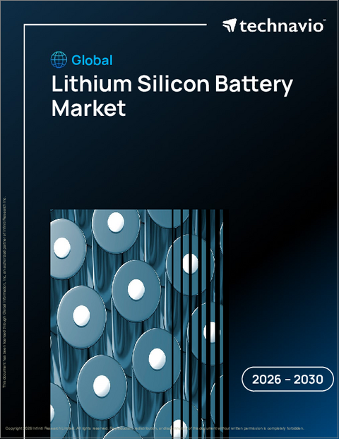 表紙:世界のリチウムシリコン電池市場(2026年~2030年)