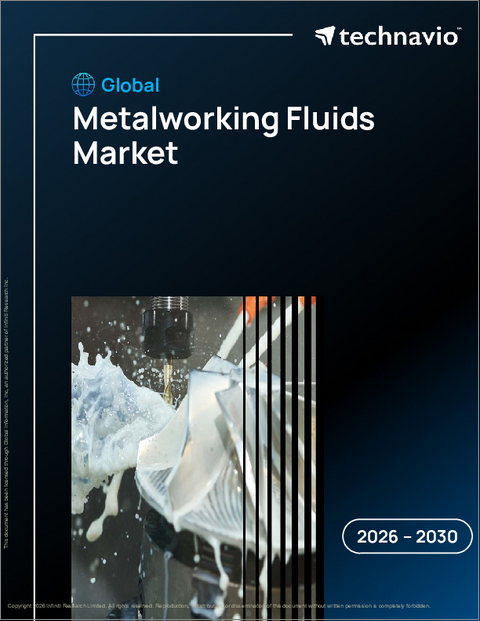 表紙：世界の金属加工油市場2026-2030年