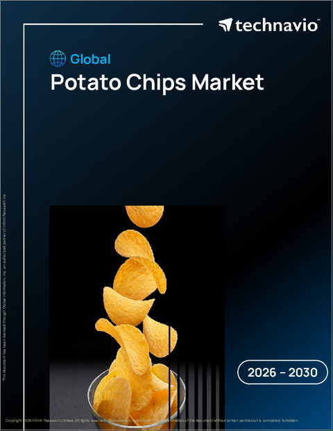 表紙:世界のポテトチップス市場2026-2030年