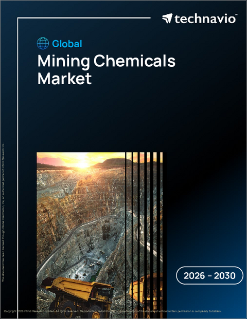表紙:世界の鉱業用化学品市場2026-2030年