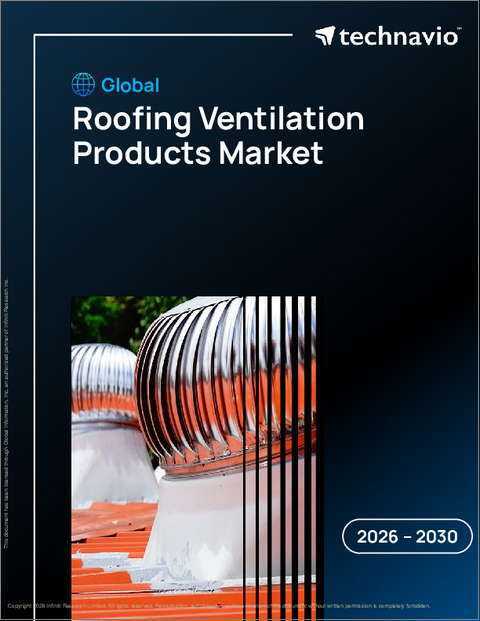 表紙：世界の屋根換気製品市場2026-2030年