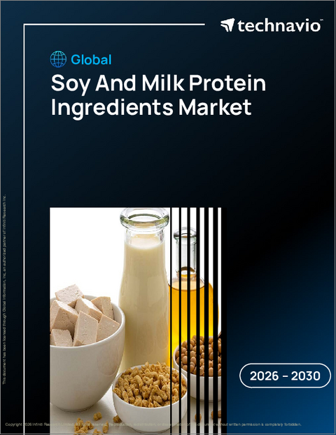 表紙：世界の大豆および乳タンパク原料市場2026-2030年