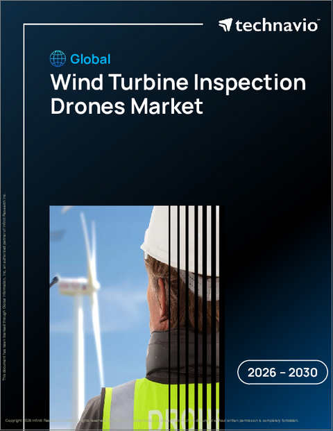 表紙：世界の風力タービン点検ドローン市場2026-2030年