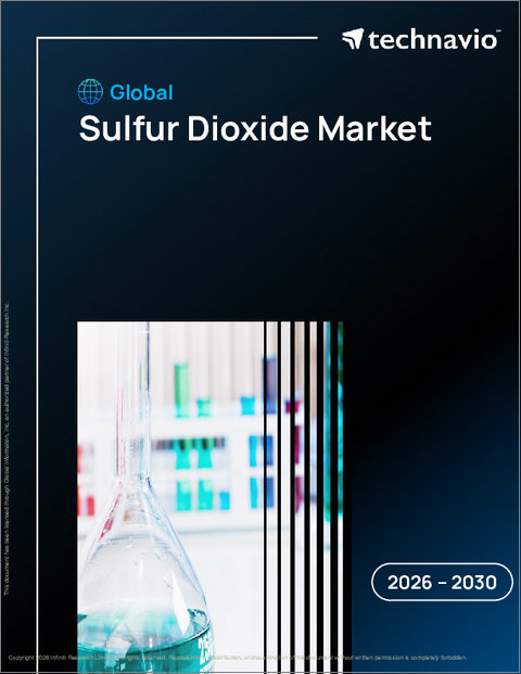 表紙：世界の二酸化硫黄市場2026-2030年
