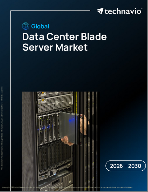 表紙：世界のデータセンターブレードサーバー市場2026-2030年