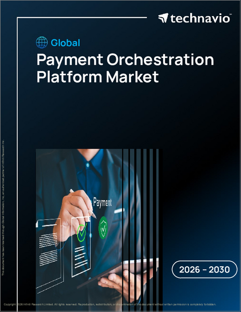表紙：世界の決済オーケストレーションプラットフォーム市場2026-2030年