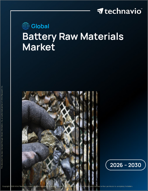 表紙：世界の電池原料市場2026-2030年