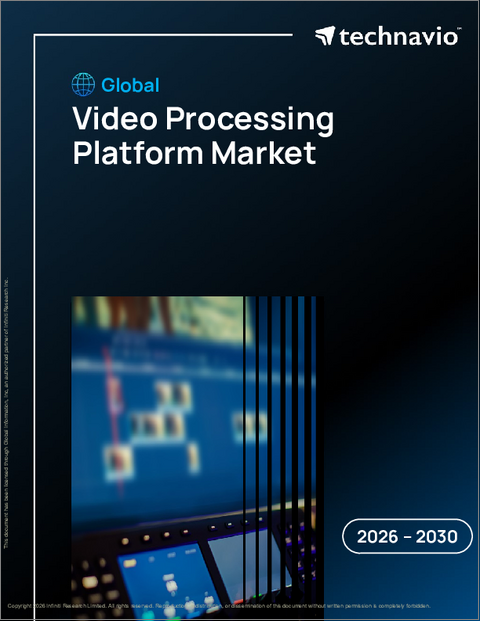 表紙:世界の映像処理プラットフォーム市場2026-2030年