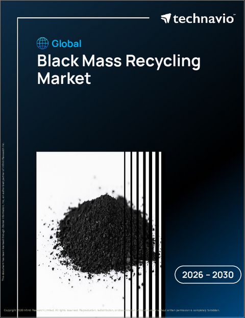 表紙：世界のブラックマスリサイクル市場2026-2030年