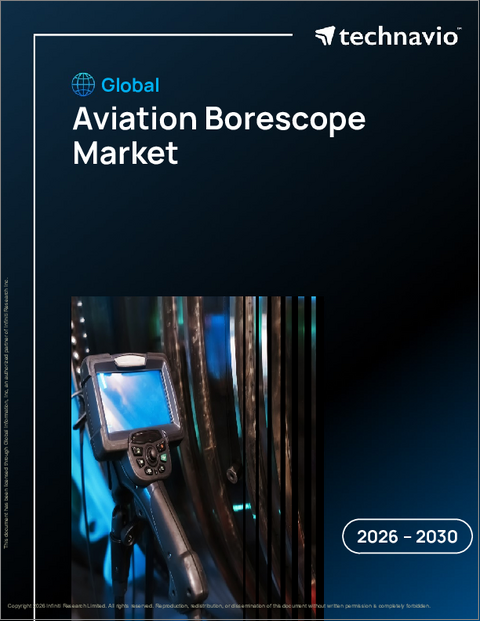 表紙：世界の航空用ボアスコープ市場2026-2030年