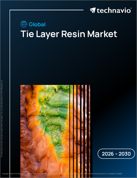 表紙：世界のタイヤー樹脂市場2026-2030年