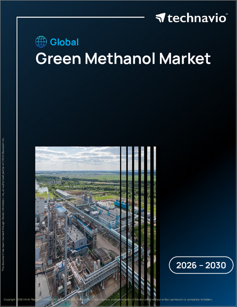 表紙：世界のグリーンメタノール市場2026-2030年