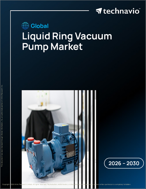 表紙：世界の液封式真空ポンプ市場2026-2030年