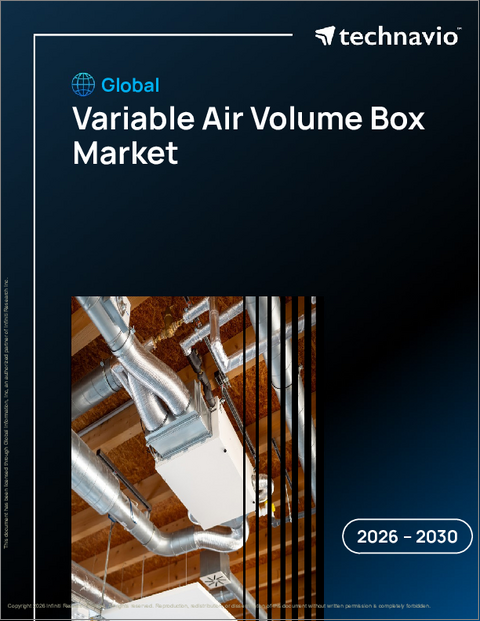 表紙：世界の可変風量ボックス市場2026-2030年