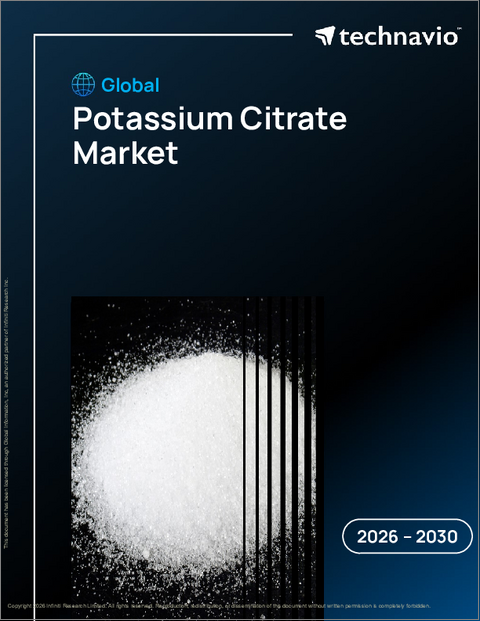 表紙：世界のクエン酸カリウム市場2026-2030年