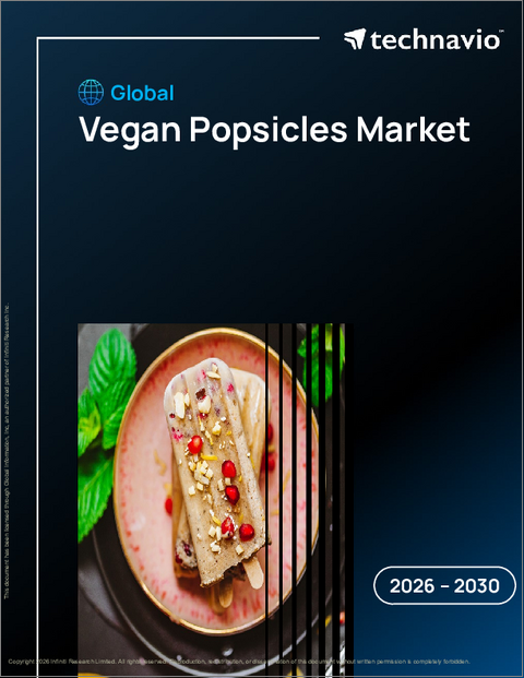 表紙：世界のビーガンアイスキャンディー市場（2026年～2030年）