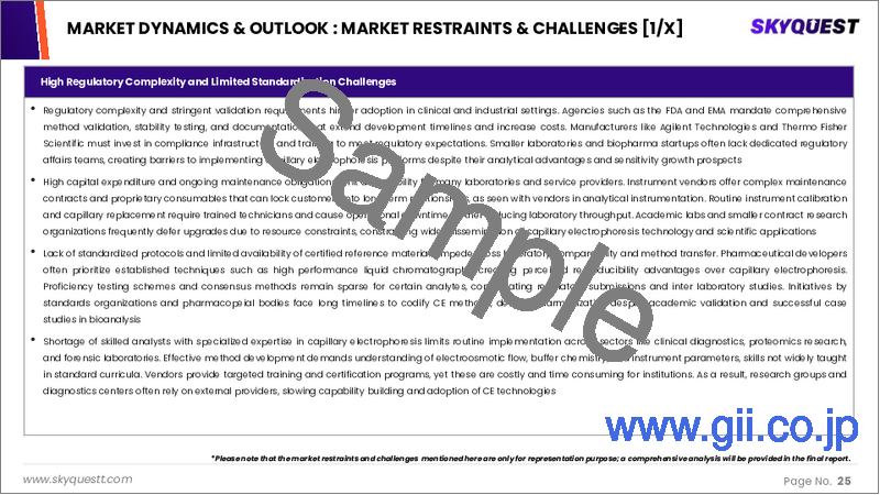 サンプル1：キャピラリー電気泳動市場の規模、シェア、成長分析：製品タイプ別、提供別、消耗品別、用途別、エンドユーザー別、分離モード別、検出方法別、地域別- 業界予測 2026-2033年