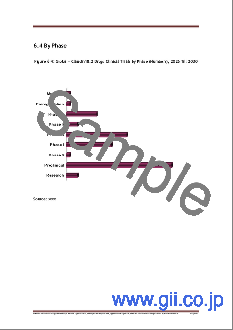 サンプル2：世界のクローディン18.2標的療法市場機会、治療アプローチ、承認済み医薬品価格、売上及び臨床試験に関する見通し（2030年）