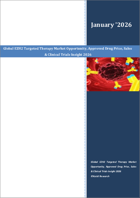 表紙：EZH2標的療法の世界市場：市場機会、承認済み医薬品価格、売上高及び臨床試験に関する見通し（2026年まで）