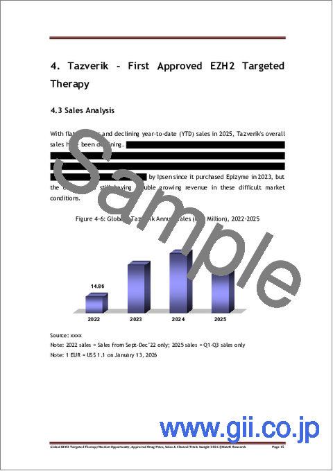 サンプル2：EZH2標的療法の世界市場：市場機会、承認済み医薬品価格、売上高及び臨床試験に関する見通し（2026年まで）