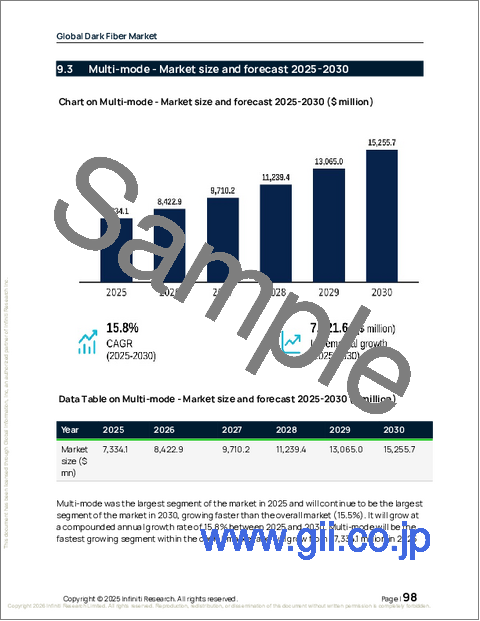 サンプル2：ダークファイバーの世界市場、2026年～2030年