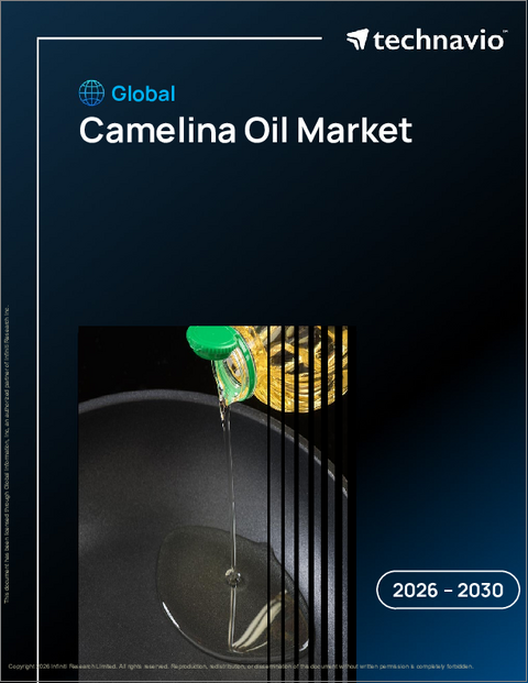 表紙：世界のカメリーナ油市場2026-2030年