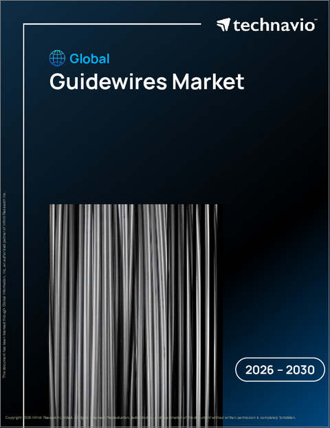 表紙：世界のガイドワイヤー市場2026-2030年