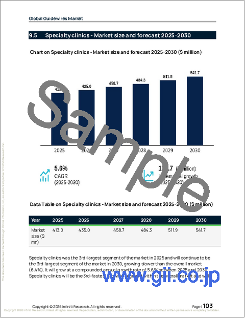 サンプル2：世界のガイドワイヤー市場2026-2030年