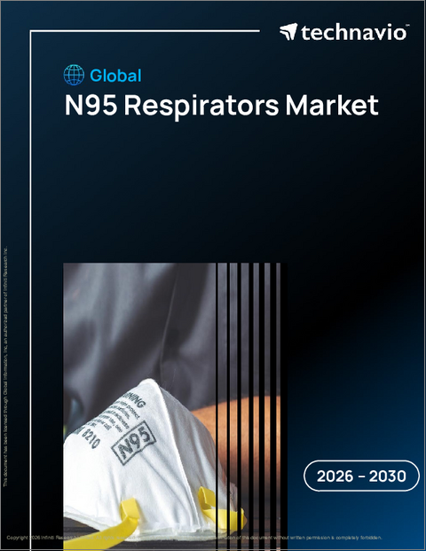 表紙：世界のN95マスク市場2026-2030年