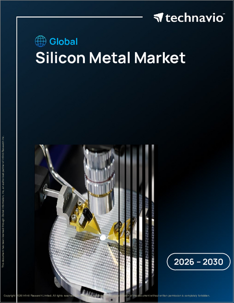 表紙:世界のシリコン金属市場2026-2030年