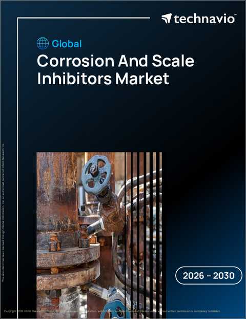 表紙：腐食・スケール抑制剤の世界市場、2026年～2030年