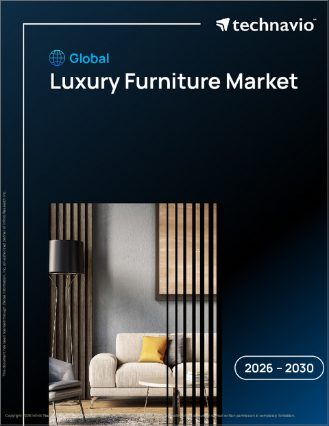 表紙：ラグジュアリー家具の世界市場、2026年～2030年